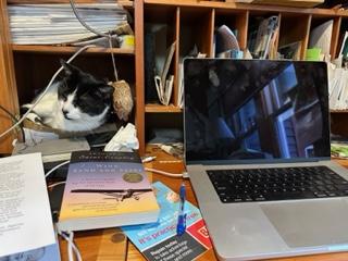Writer's desk with cat hiding in a shelf